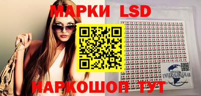 шишки Тверь