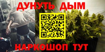 шишки Тверь