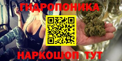 крисы Ставрополь