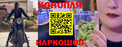 крисы Ставрополь